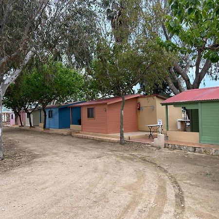Camping Delta Natura La Tancada Amposta Exteriör bild