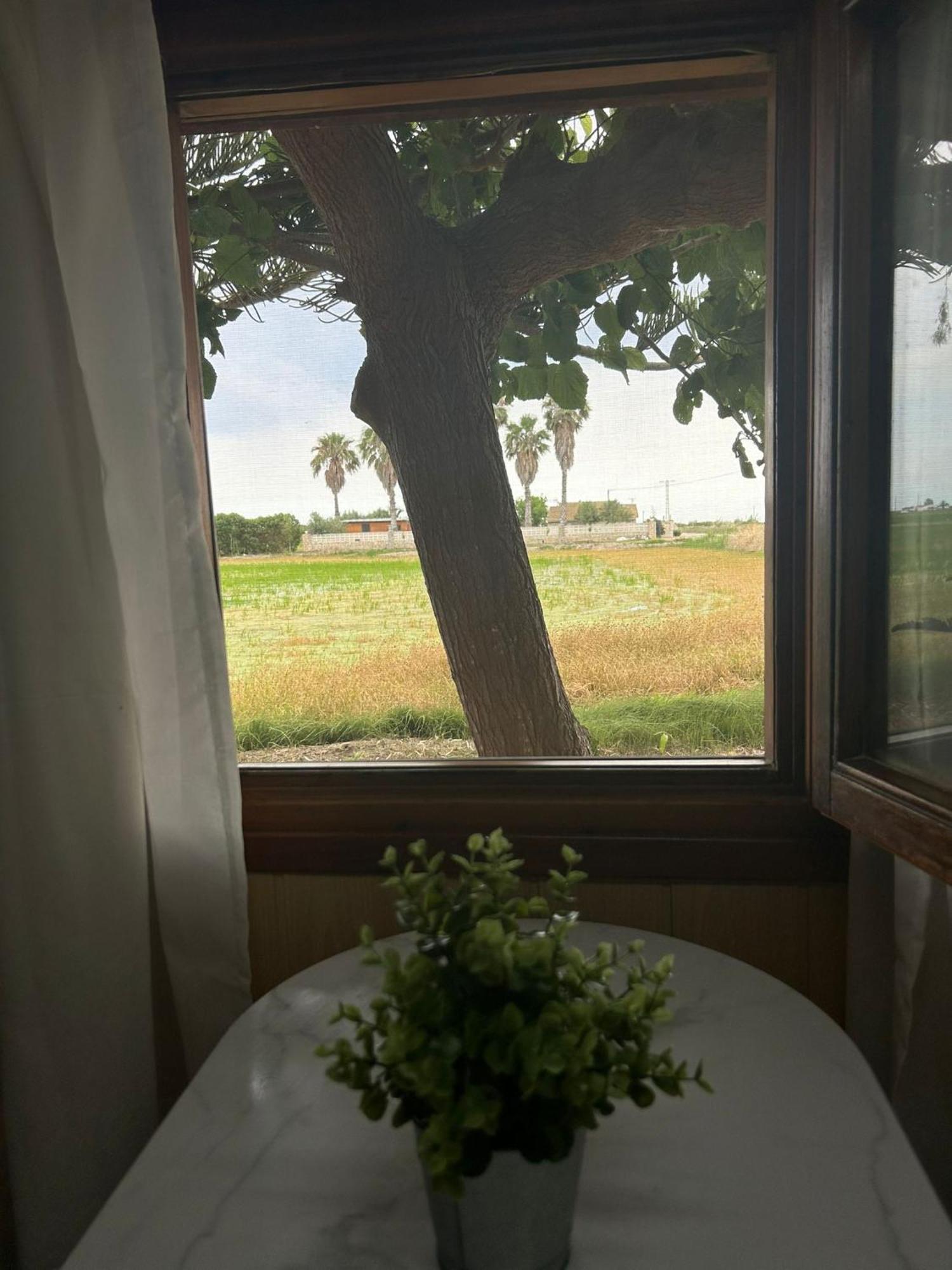Camping Delta Natura La Tancada Amposta Exteriör bild